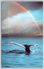 Cape Ann Massachusetts Whale Fin in the Atlantic Ocean Vintage Postcard