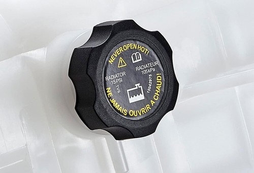 Coolant Reservoir Bottle Tank W/Cap 603-5201 Freightliner Columbia Century 01-09 - Foto 8 di 10
