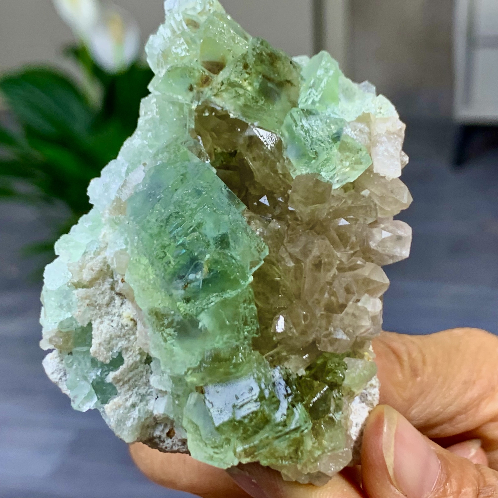 182G Rare Transparent Green Cubic Fluorite Crystal Specimen from China