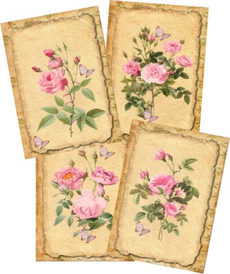 8 ROSE NOTE CARDS VINTAGE INSPIRED GLOSSY BLANK IVORY ENVELOPES ORGANZA BAG