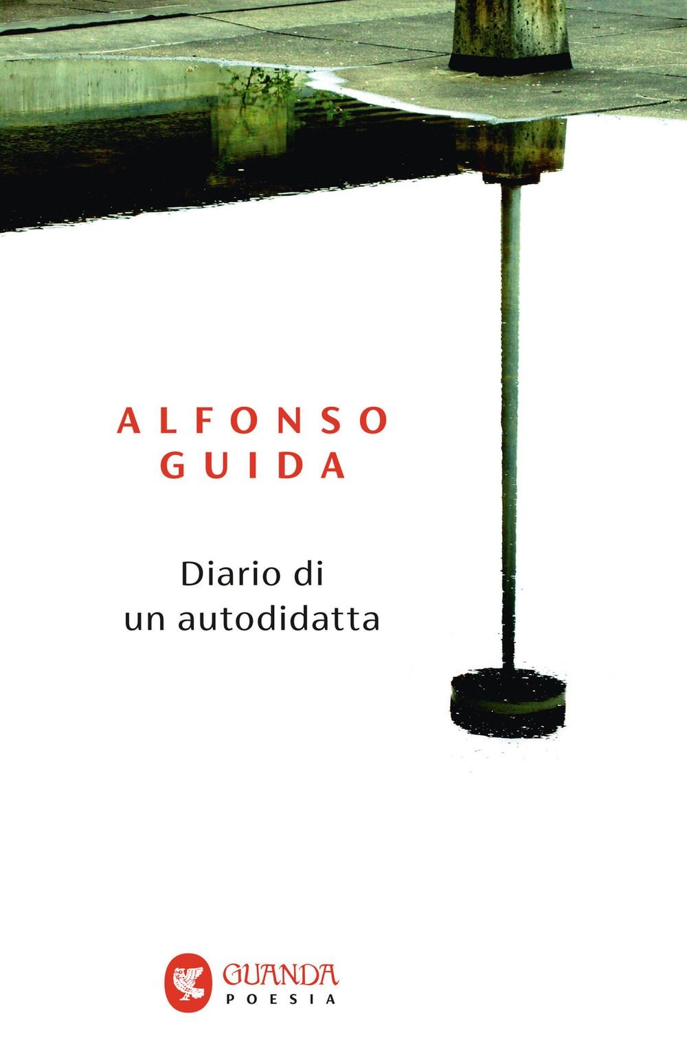 Libri Alfonso Guida - Diario Di Un Autodidatta - Immagine 4