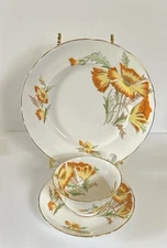 Royal Chelsea "Lake Louise Poppy" English Bone China Cup, Saucer & Lunch  Plate