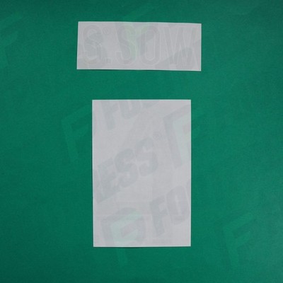 Offizielle Beflockung - AS Saint-Etienne, Saïdou Sow, 2022/2023 2023/2024, Away, grün