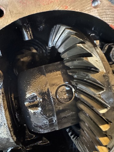 1982-1985 Toyota Celica GT Rear Differential Diff F302 3.41 open non LSD RA65 - Picture 5 of 5