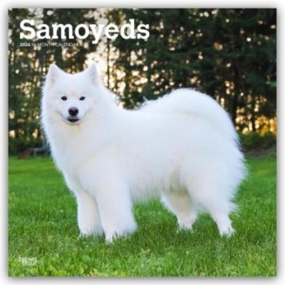 Samoyeds - Samojede 2026 - 16-Monatskalender Browntrout Publishers