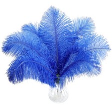 10 PCS Natural Blue Ostrich Feathers 12-14 Inch 30-35 cm Wedding Centerpiece