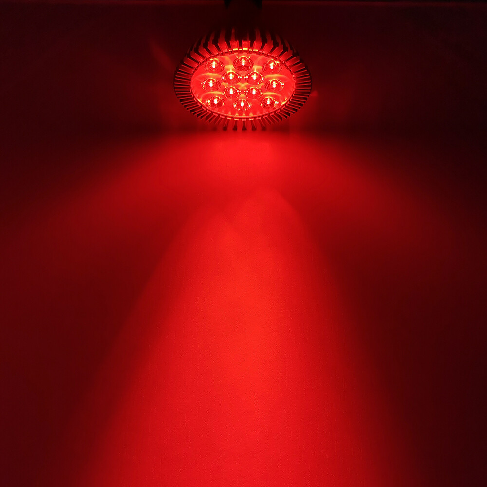 BLUEX BULBS 120-Watt Equivalent PAR38 Decorative LED Light Bulb In Pink 2 Pack Pink Par38 18w