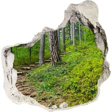 Wall decal Wall Sticker poster nursery decoration 100 x 100 cm forest path motif