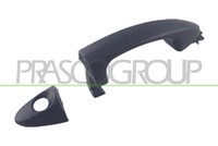 Prasco TüRgriff AußEn Vorne Links Passend FüR Ford Fiesta VI Grundiert FD3448004