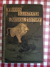 Woods Illustrated Natural