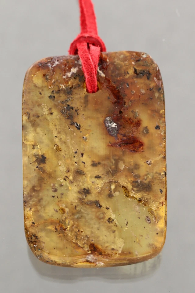 完好巨大蜘蛛化石波罗的海琥珀麂皮绒皮革吊坠 14.5 克 50225-2 — 第 4/4 张图片