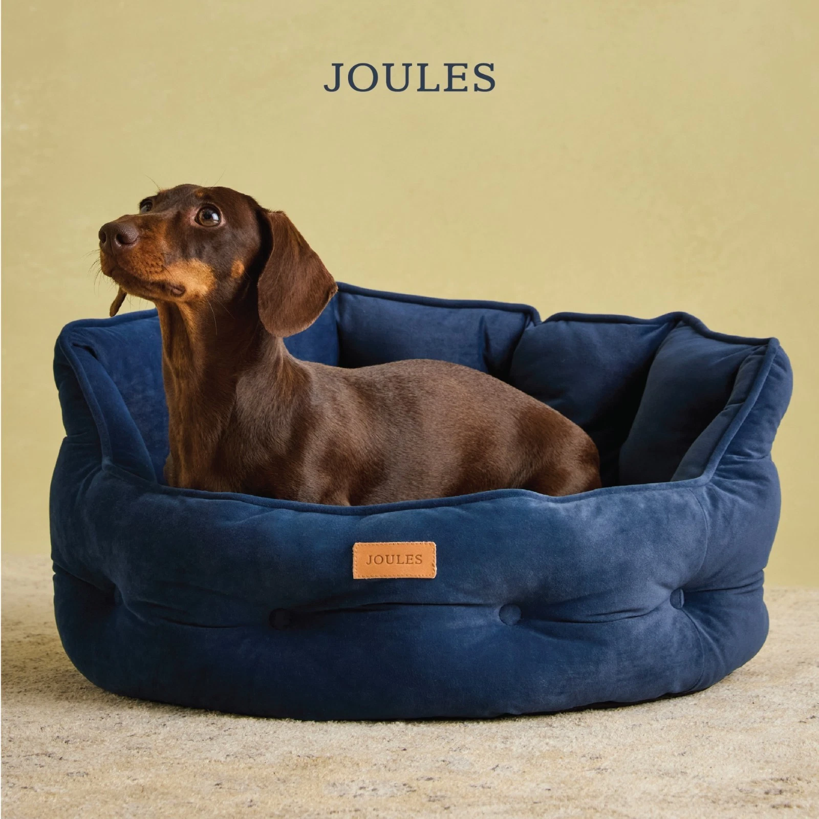 Joules Chesterfied Pet Bed - Navy