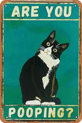 Funny Black Cat Are You Pooping Tin Metal Signs Vintage Sign,Metal Poster for Wa