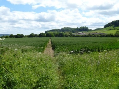 Foto A2 Zwei Wege zu gehen [2] Dumbleton Es gibt zwei Fußwege ab f c2012