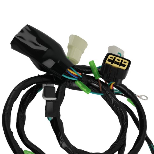 Wire Harness Assembly for Honda TRX400EX TRX 400EX 1999-2004 32100HN1000 - Foto 10 di 10