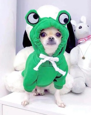 Cute Frog Dog Sweater Coat Pet Dog Hoodie Winter Clothes For Small & Medium Dogs