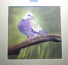 Pastel sec Animalier " Tourterelle Des Bois " signée Madeleine CB