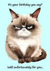 Open Happy Birthday A5 Sized Card Adult Humorous Funny Birthday Card Cat