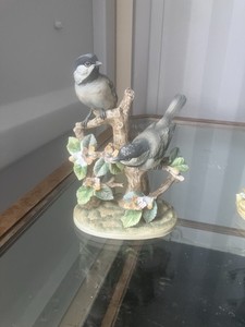 Black Chapped Chickadee
