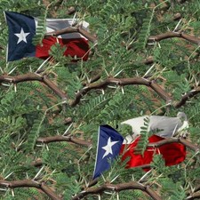 Texas Mesquite Camouflage 22 - 20" x 38" Hydrographic Film Hydro Dipping
