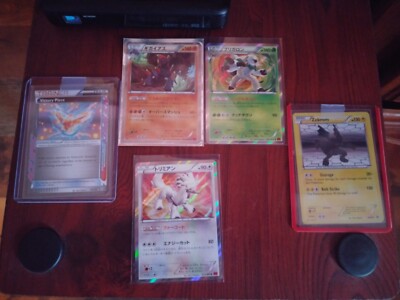 noctowl pokemon card Noctowl
