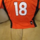 Picture 17 of 17
