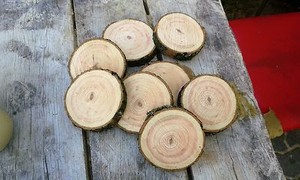 13-15 cm Holzscheibe Weide 5 Baumscheiben