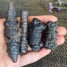 4pc  140.6g  Limonite & Hematite pseudomorph after Marcasite Prophecy Stone