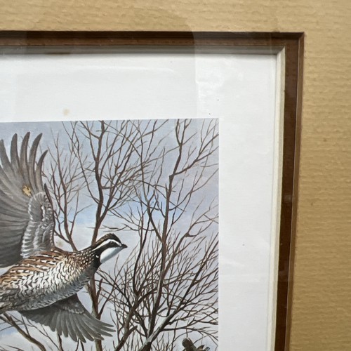 1984 International Quail Foundation Stamp Print MAYNARD REECE Signed Numbered Fr - Picture 6 of 15
