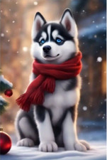 Cute Blue Eyed Husky Wearing Scarf Snow 5D Diamond Art Dots Painting Kit 20x30cm