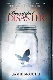 Beautiful Disaster von Jamie McGuire | Buch | Zustand sehr gut
