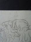 Picture 6 of 9