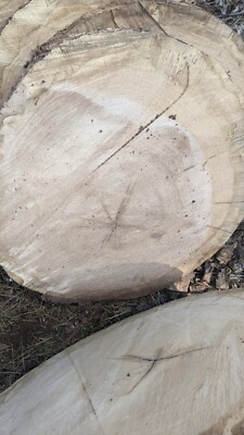 Live Edge, Rough Cut Black Oak Slab