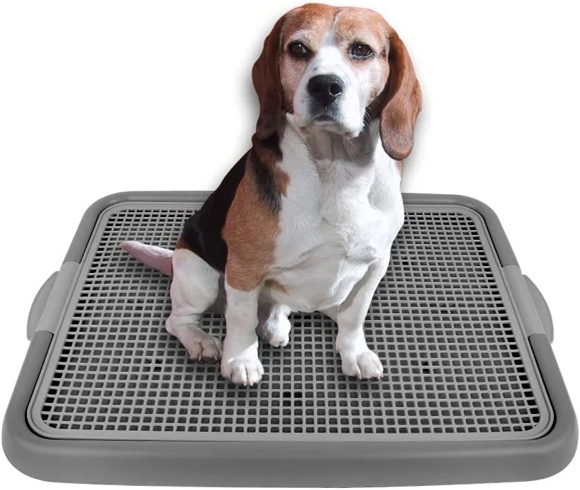 Durable Puppy Potty Tray with Mesh Design - Safe and Stylish Gray 20.3 x 16.3 - Image 3 of 4