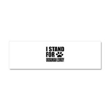 CafePress Car Magnet 10 x 3, Magnetic Bumper Sticker 387417627