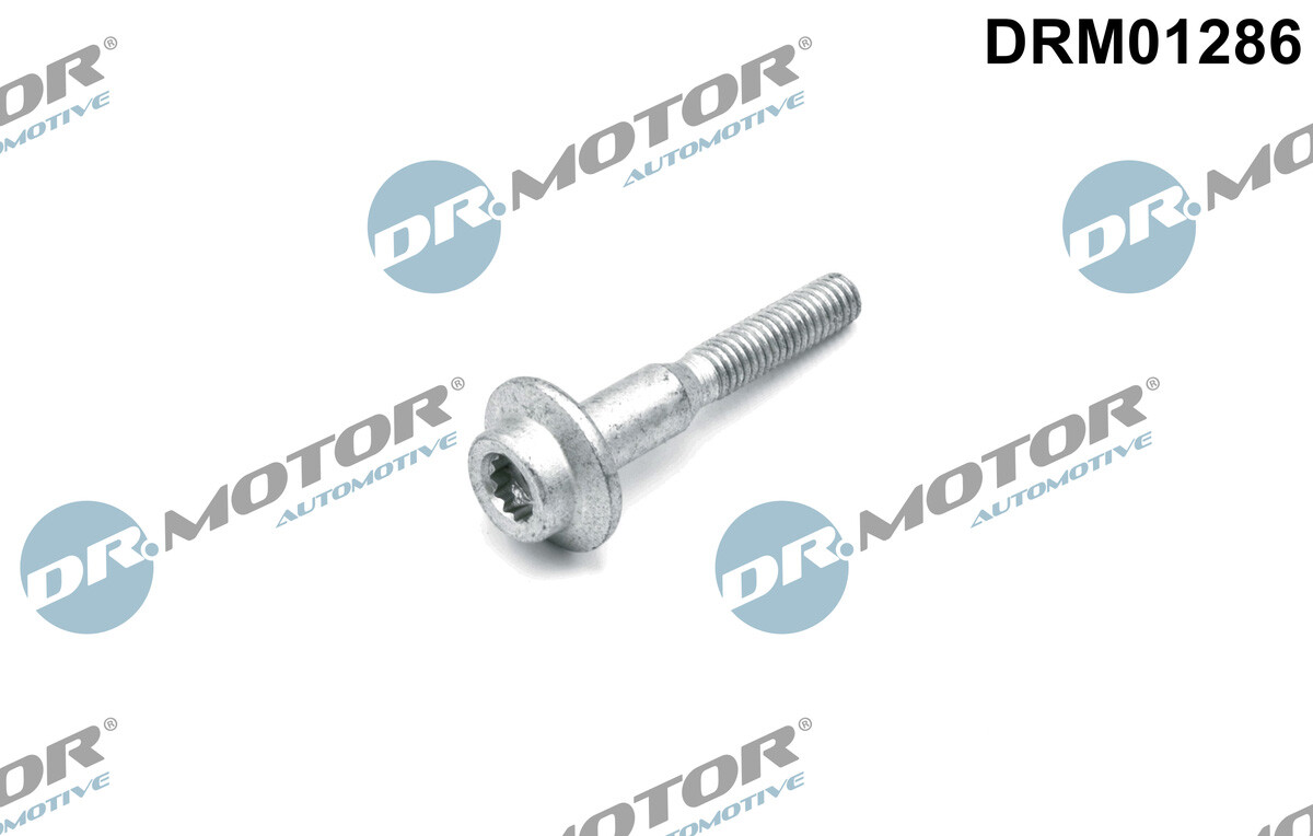 DRM01286 Dr.Motor Automotive Screw, injection nozzle holder for AUDI,SEAT,SKODA,