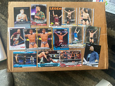 Daniel Bryan Cards and Memorabilia Guide 7