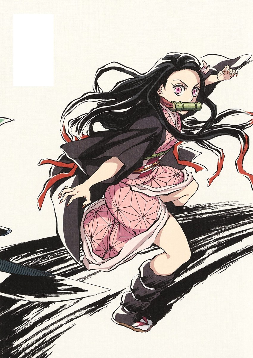 Anime Demon Slayer: Kimetsu no Yaiba Illust Kiroku Shuu (1) Art