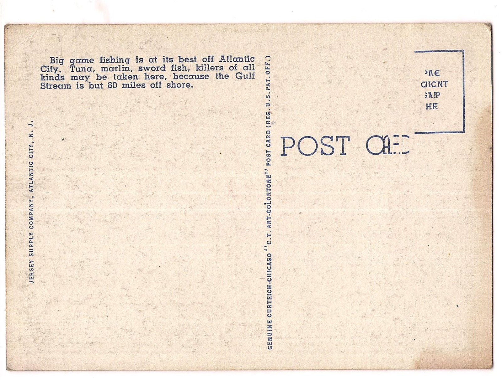 TUNA BOATS Sunrise KILLERS Fishing ATLANTIC CITY NJ Postcard New Jersey