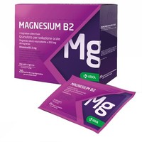 Krka Farmaceutici Milano Magnesium B2 300/2Mg 20 Bustine