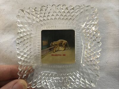 Philadelphia Zoo Vintage Glass Souvenir Tray With Tiger, Philadelphia, Pa.