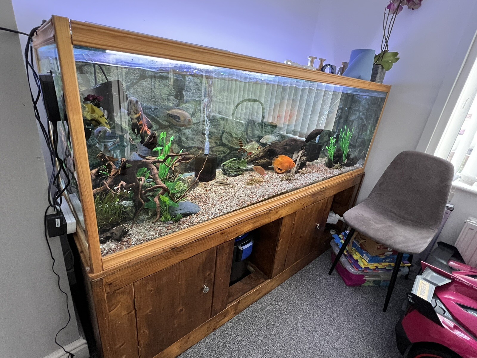 6x2x2ft Fish Tank and Stand eBay