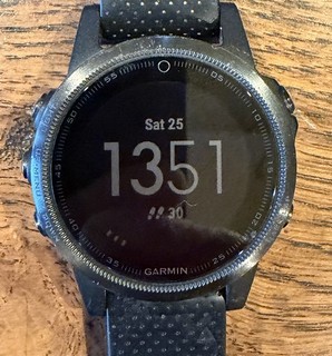 Garmin Fenix 5S Sapphire Edition GPS Running Watch One Size Black