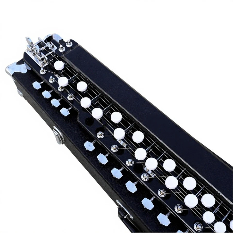 Bulbul Tarang Banjo 29 teclas 14 cuerdas instrumento musical indio con estuche rígido Foto 2 de 4