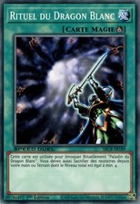 Yu-Gi-Oh: Ritual des Weißen Drachen | SBCB-FR189 | Commune | NM | DE