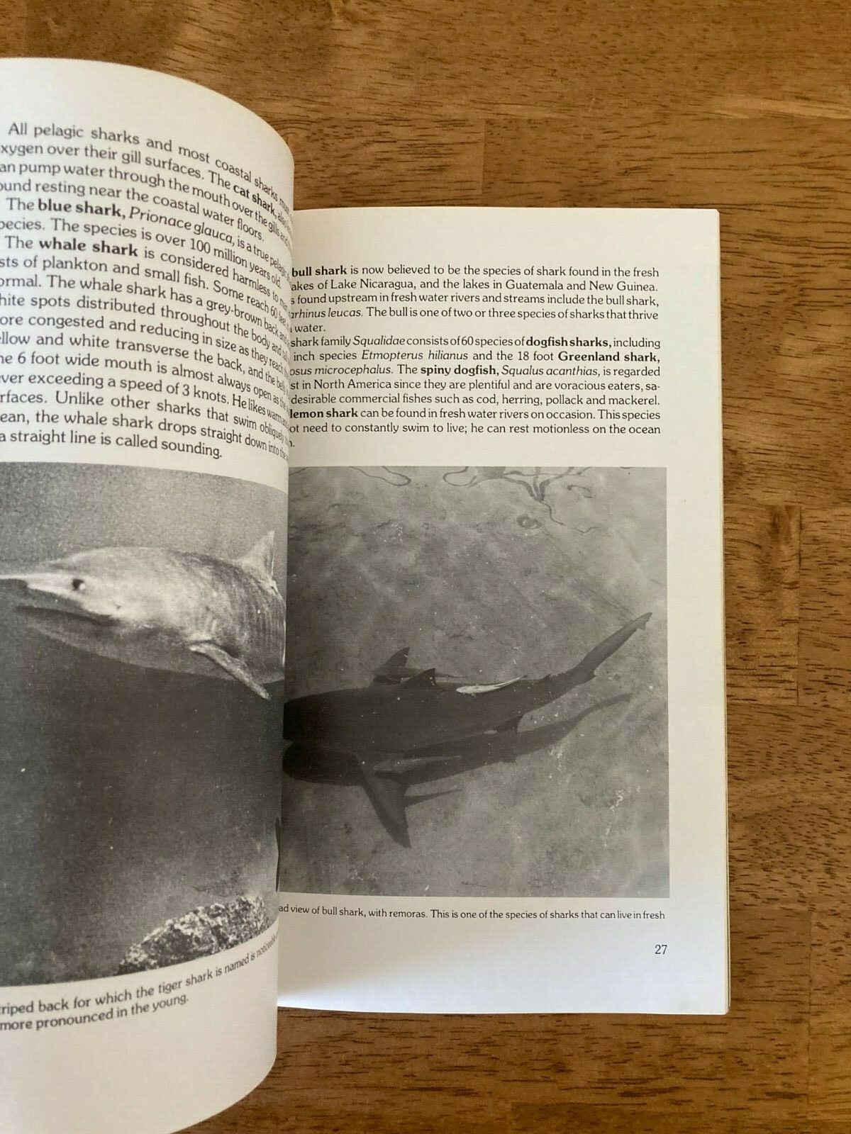 Picture 6 of 6