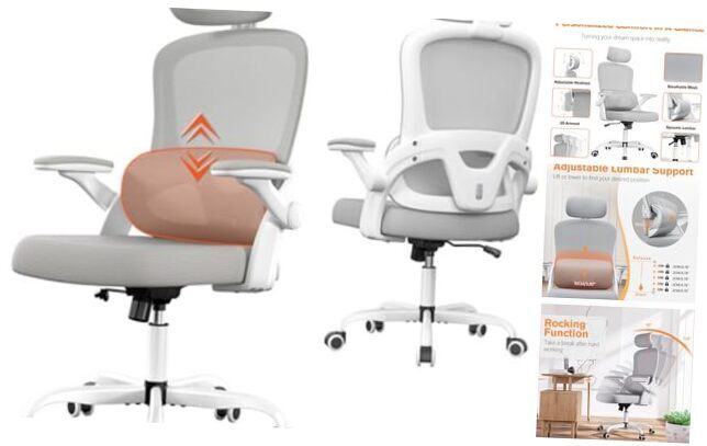 Ergonomic Office Chair, High Back Office Desk Chair with Adjustable Lumbar Grey-image
