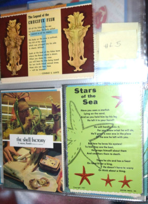VINTAGE ''FLORIDA Animal Life and Beaches,'' Three (3) Post Cards (4'' x 6'') New #2