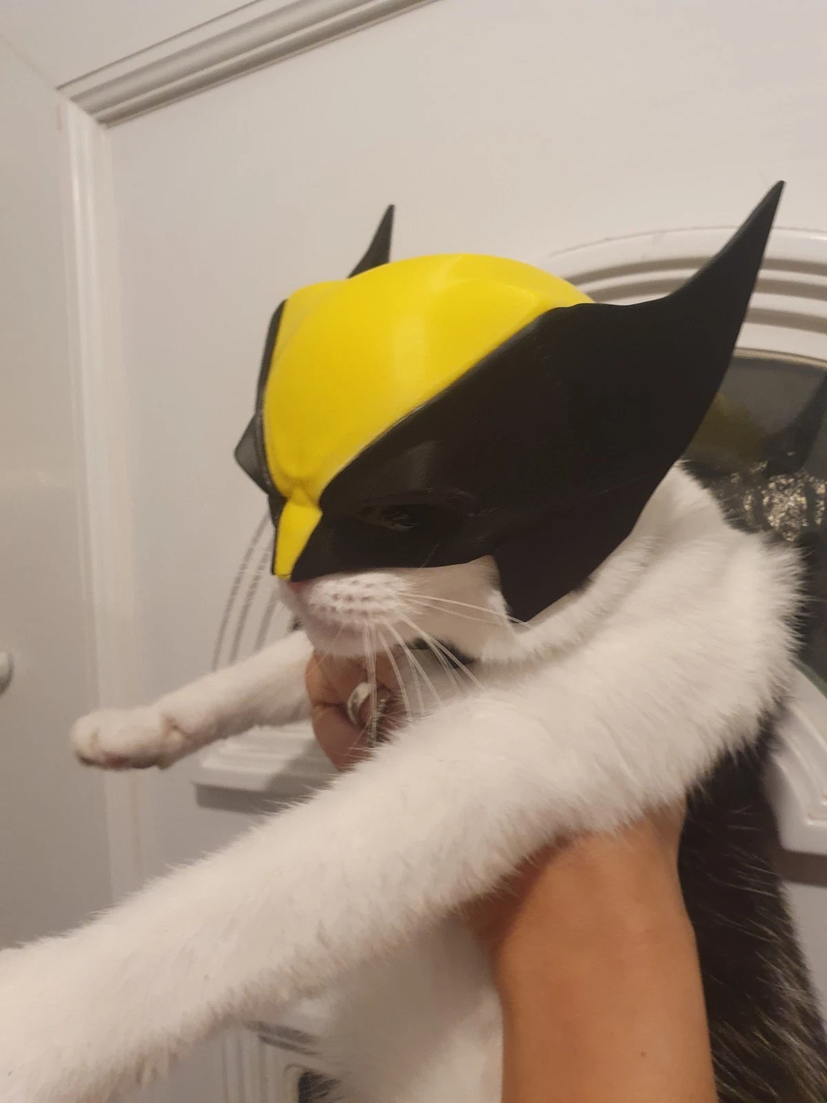 Wolverine cat mask