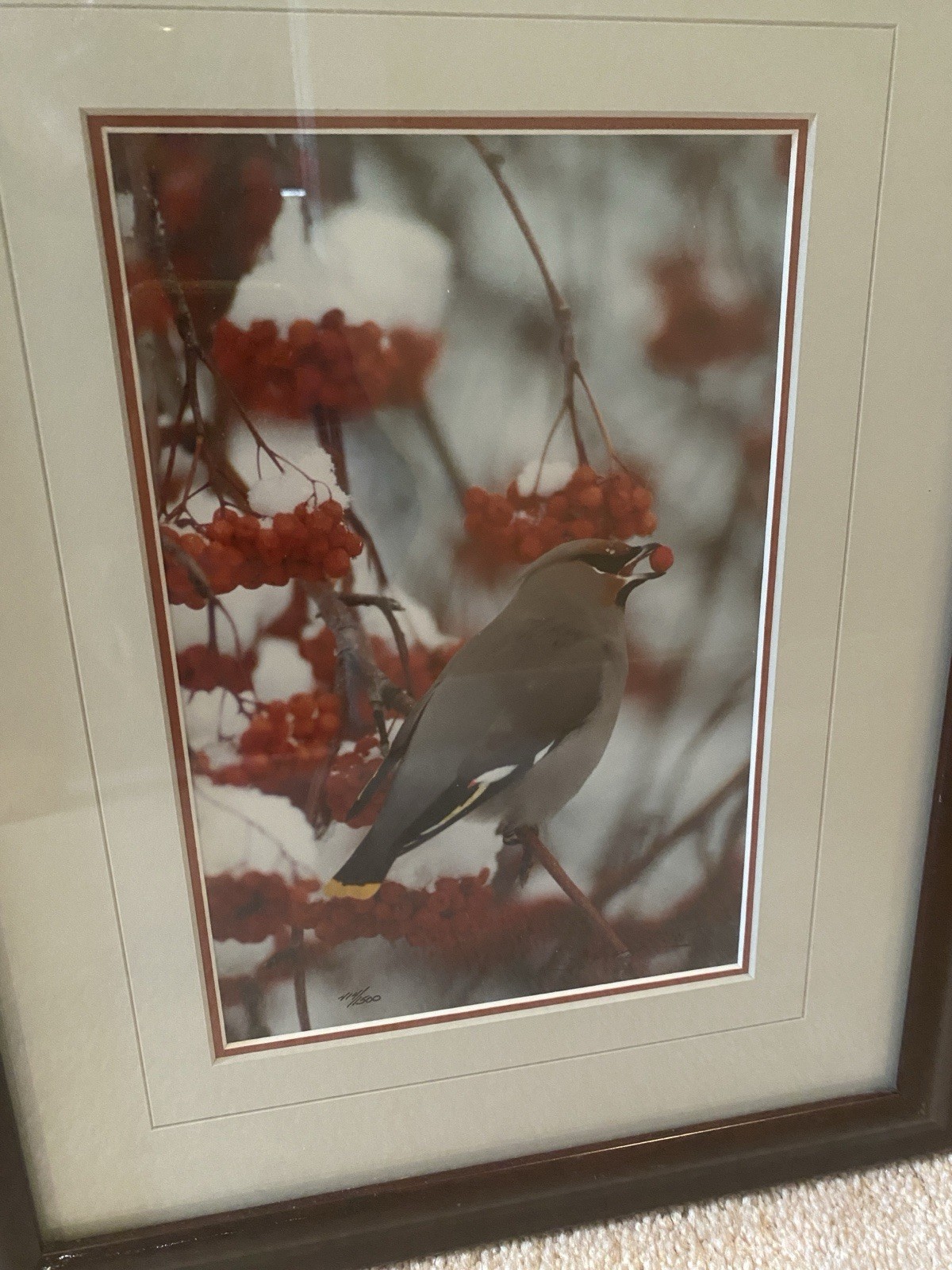 Picture 2 of 7